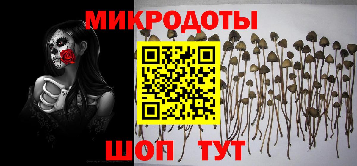 Псилоцибиновые грибы мухоморы  Вход с VPN  Воркута 